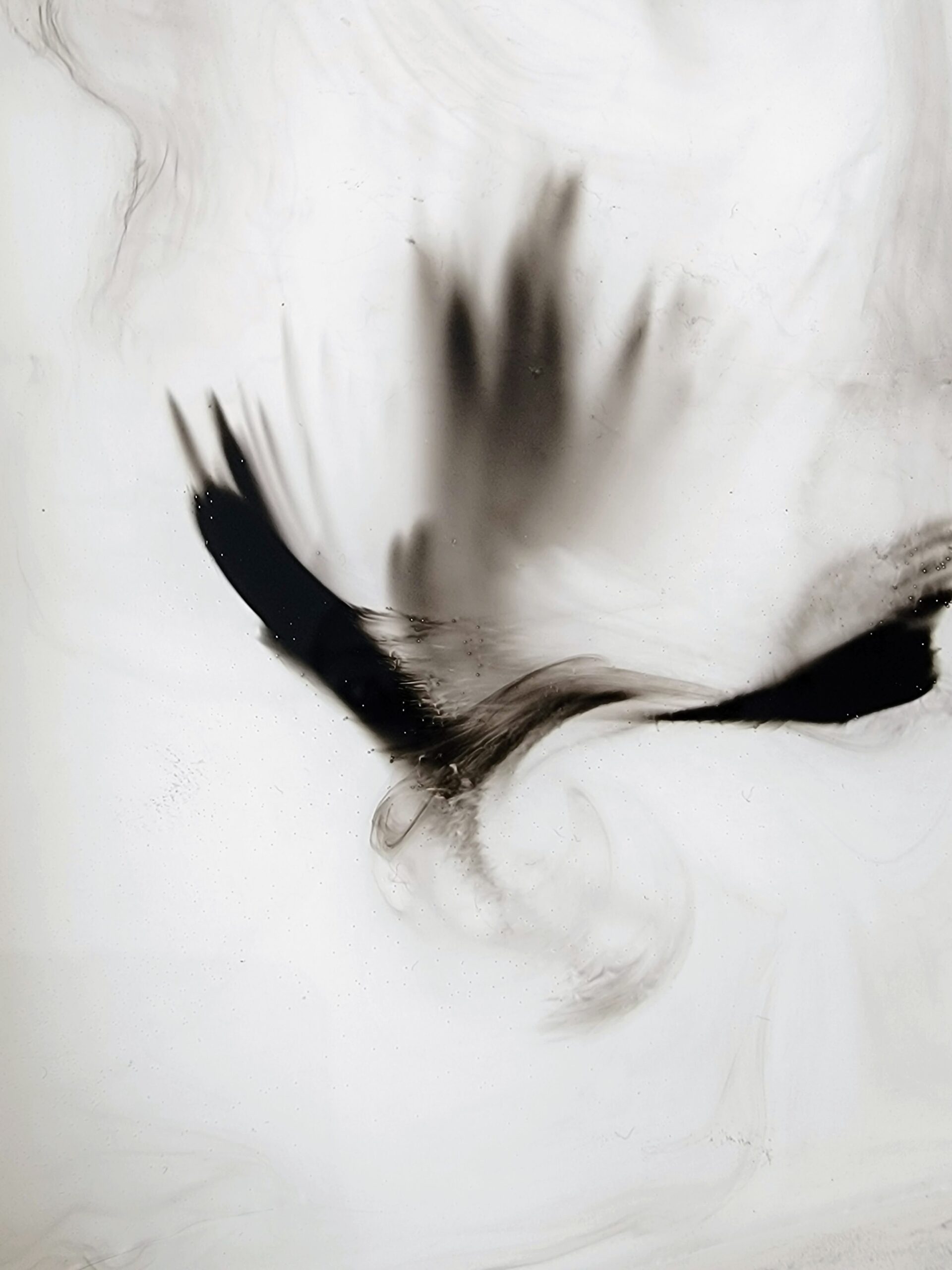 Issue 12 Nov Dec 2022 Tsuri d r A Small Journal Of Haiku And Senry 